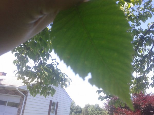 20140615_145700.jpg