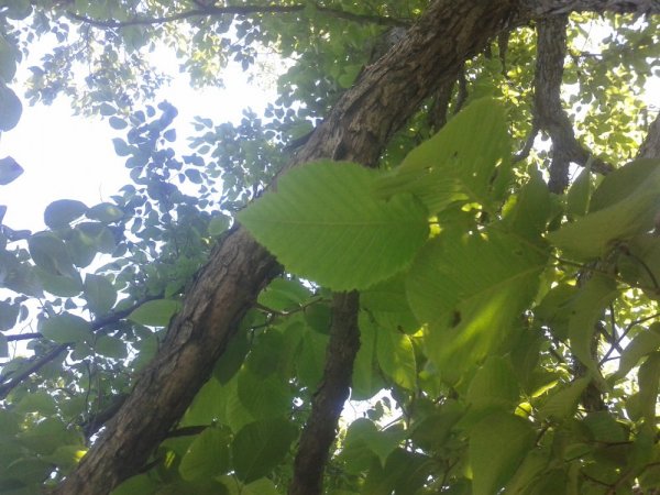 20140615_145647.jpg