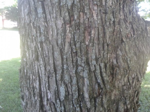 20140615_145641.jpg