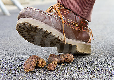 dog-poop.jpg