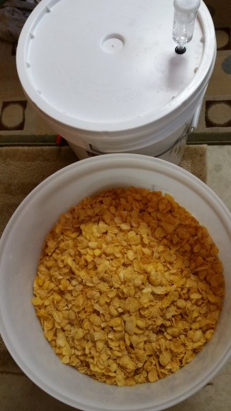 20160731_152530.jpg