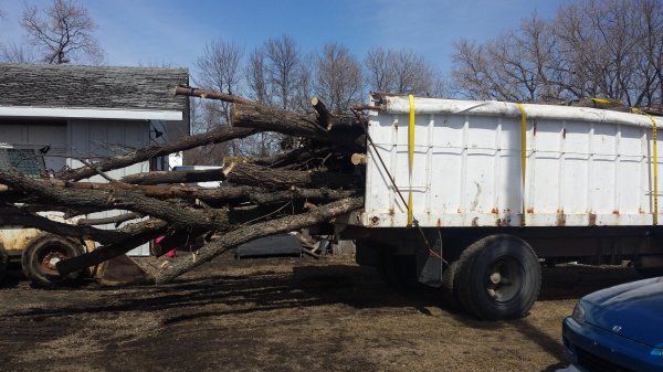 20180415_135426.jpg
