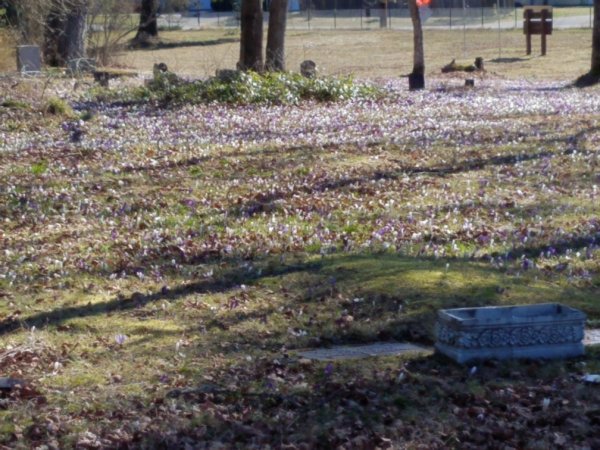 20190304_111417_resized (2).jpg