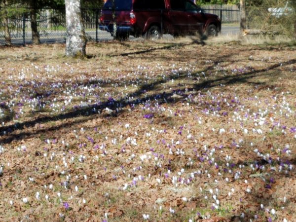 20190304_111427_resized (2).jpg