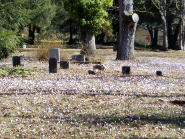 20190304_111504_resized (2).jpg