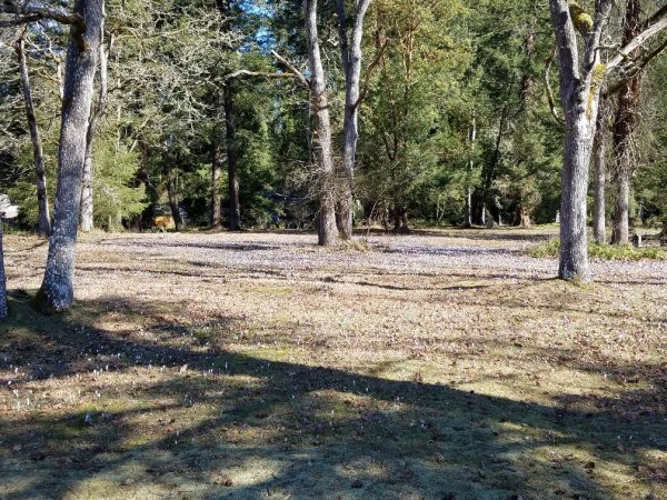 20190304_111515_resized (2).jpg