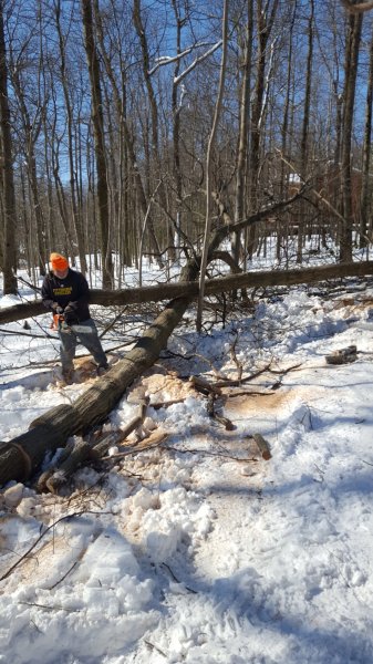 20190305_102649.jpg