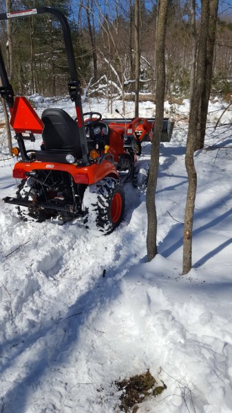 20190305_102653.jpg