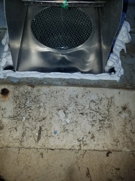20190305_122538.jpg