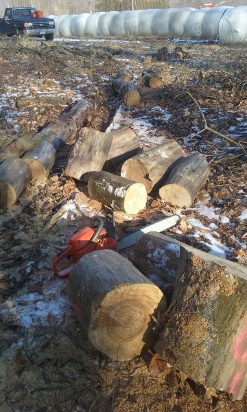 20190309_085326.jpg
