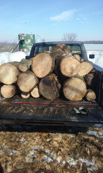 20190309_103643.jpg