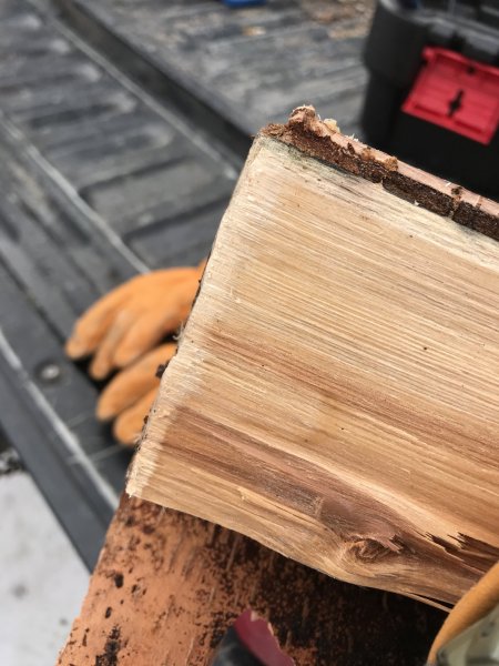 drying birch logs