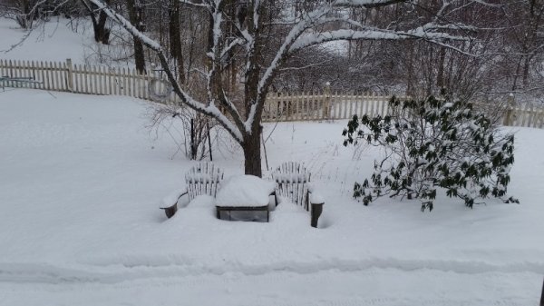 snow from 3-10-19.jpg