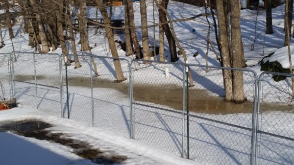 river in back 3-15-19.jpg