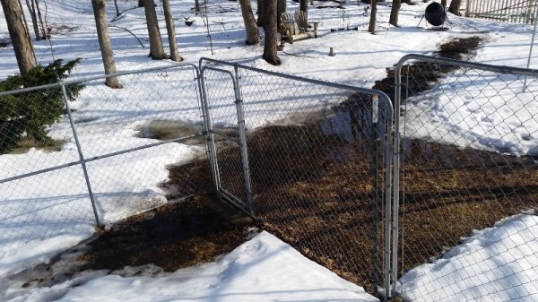 pond at gate 3-15-19.jpg