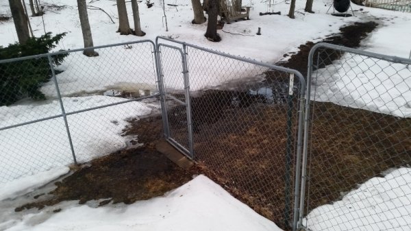 pond at gate 3-16-18 after digging trench in snow.jpg