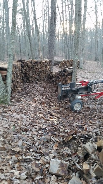 20181223_161731.jpg