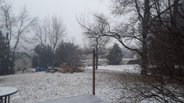 20190320_140110.jpg