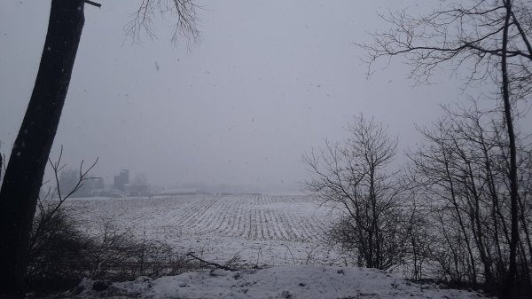 20190320_152647.jpg