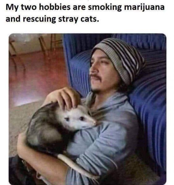 CveJW0J.jpg
