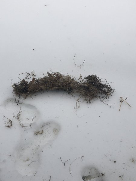 2019-02-23 12.32.04.jpg