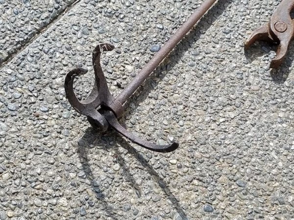 tongs3.jpg