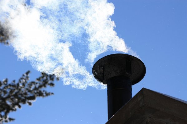 Canon Pictures 021.jpg