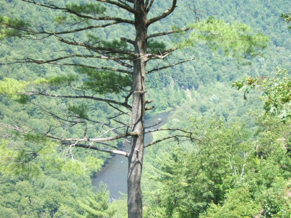 Pennsylvania Canyon 006.jpg