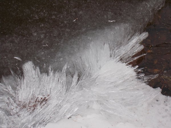 couple years worth 515.JPG