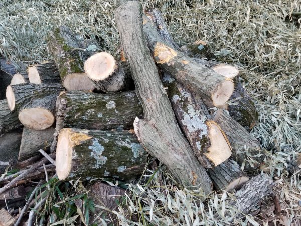 20190328_190414.jpg