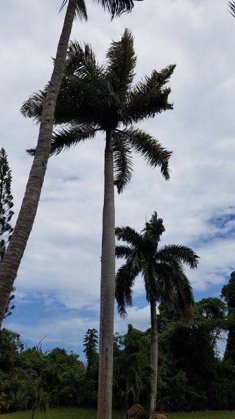 20190326_142858.jpg