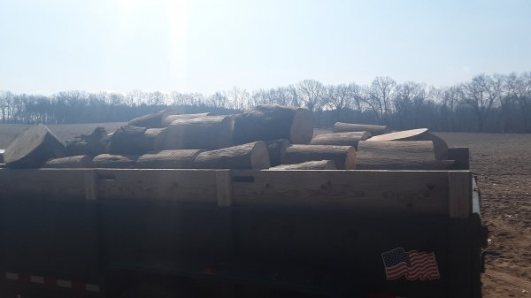 20190406_114719.jpg