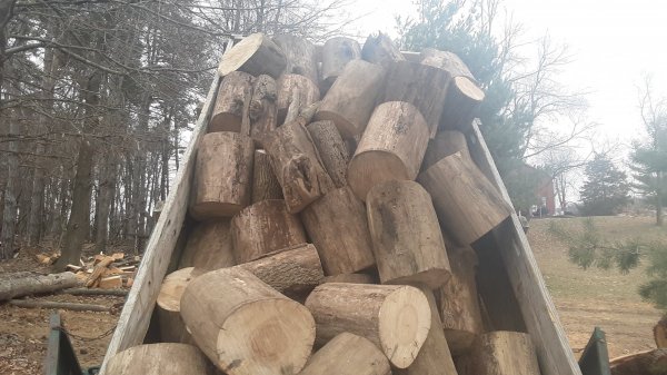 20190406_155755.jpg