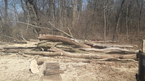 20190406_114728.jpg