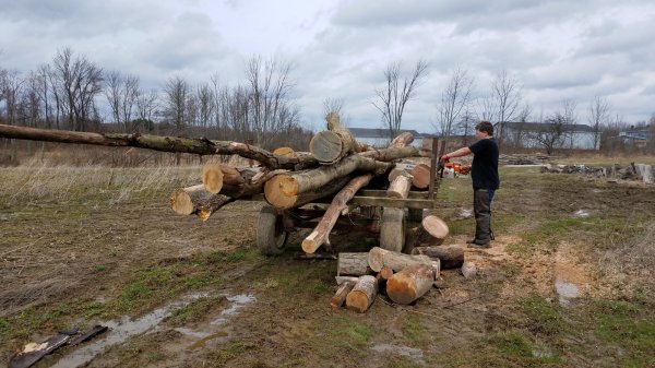 20190408_140624.jpg