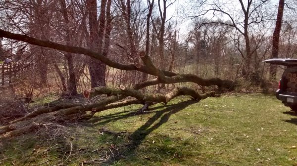 IMG_20190406_152612082_HDR[1].jpg