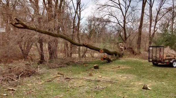 IMG_20190407_124523272_HDR[1].jpg