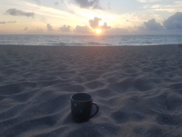 20190408_071154.jpg