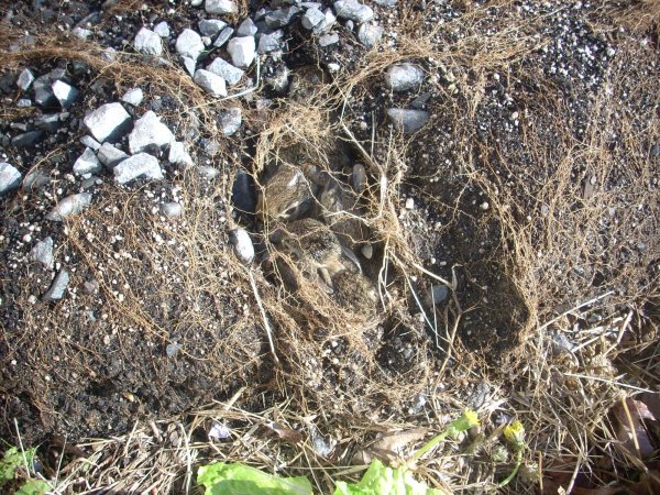 DSCN3481.JPG