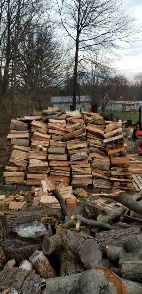 20190416_195856.jpg