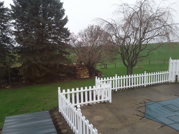 20190420_081800.jpg
