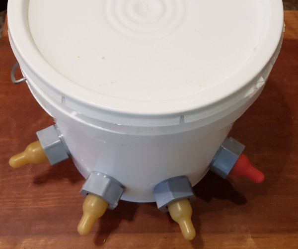 20190425_202050.jpg