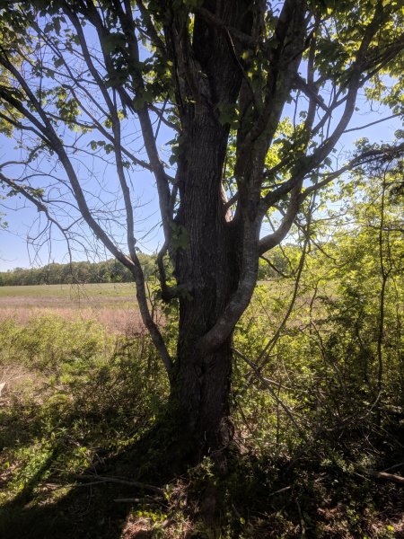 IMG_20190427_093940.jpg