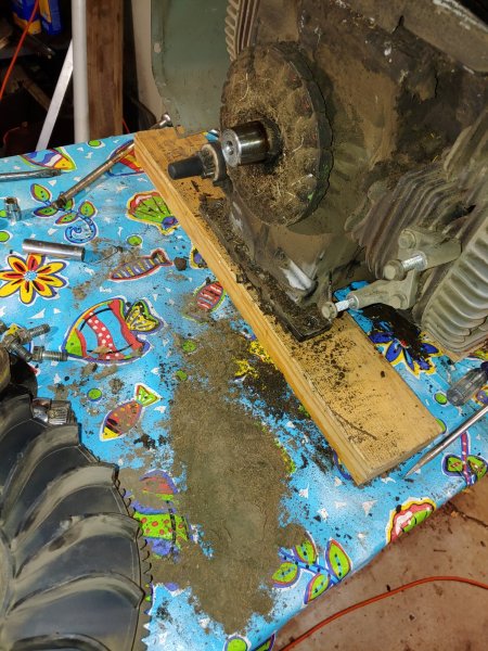20190427_151254_HDR.jpg
