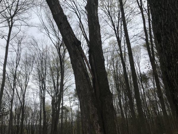 08CE352B-29DC-4D51-A7AA-90A55D8B5BD8.jpeg