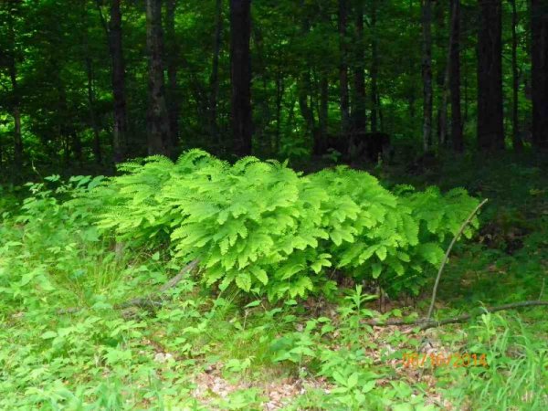 100_9351.JPG