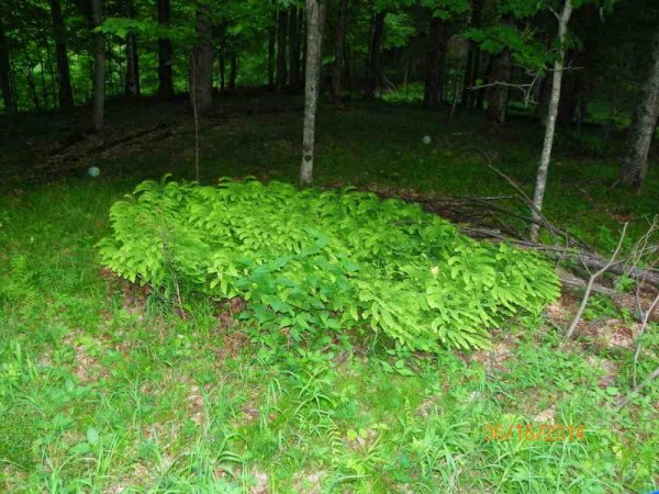 100_9352.JPG