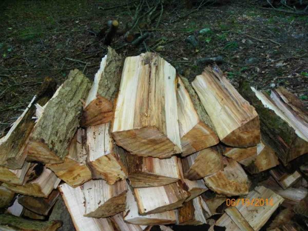 100_9354.JPG