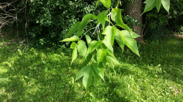 20140619_180302.jpg