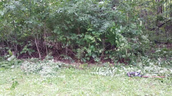 20140619_154826.jpg